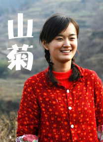 一区二区高清视频